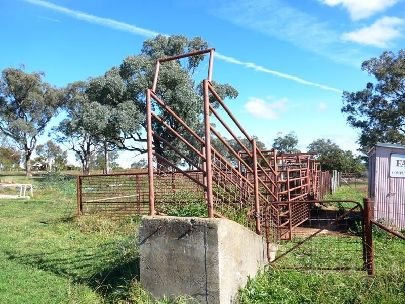 Orange NSW 2800