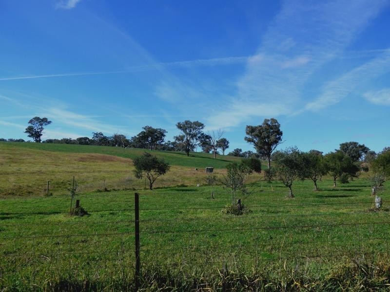 Orange NSW 2800
