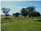 Orange NSW 2800