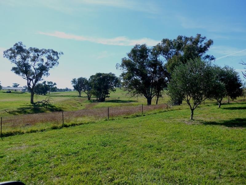 Orange NSW 2800