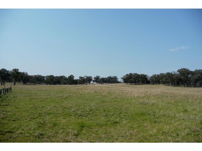 Molong NSW 2866