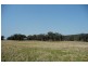 Molong NSW 2866