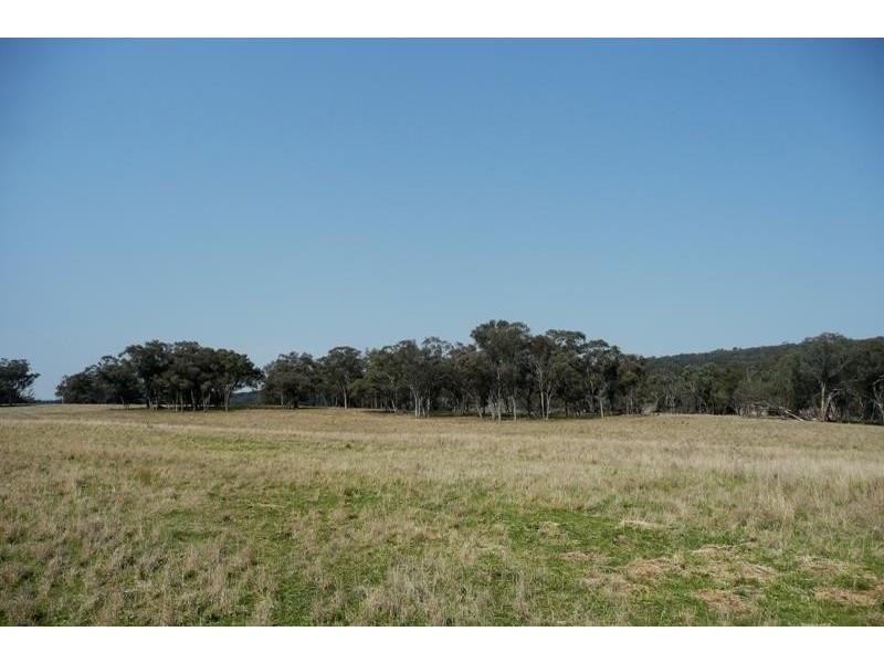 Molong NSW 2866