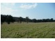 Molong NSW 2866