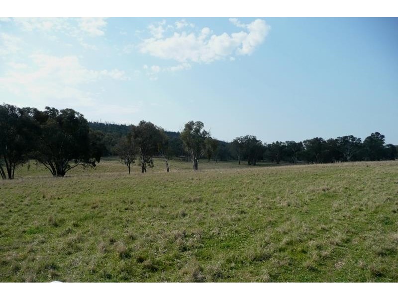 Molong NSW 2866