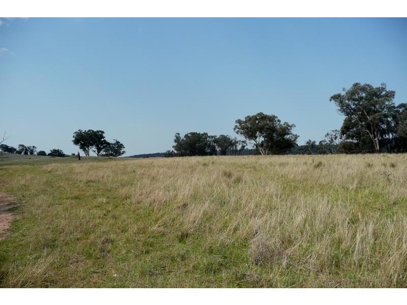 Molong NSW 2866