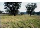 Molong NSW 2866