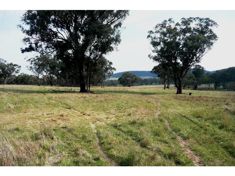 Molong NSW 2866