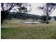 Molong NSW 2866