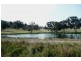 Molong NSW 2866