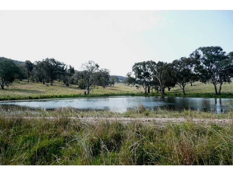 Molong NSW 2866