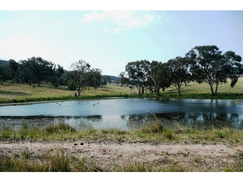 Molong NSW 2866