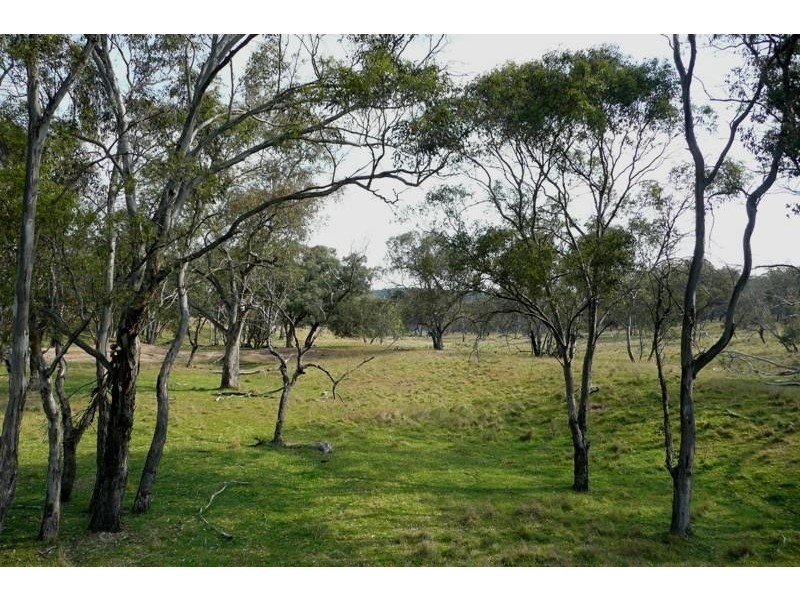 Molong NSW 2866