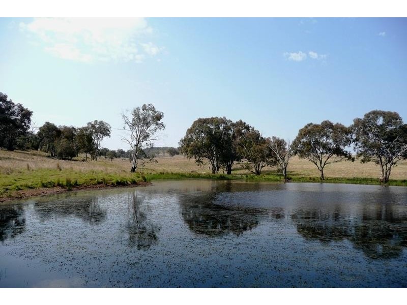 Molong NSW 2866