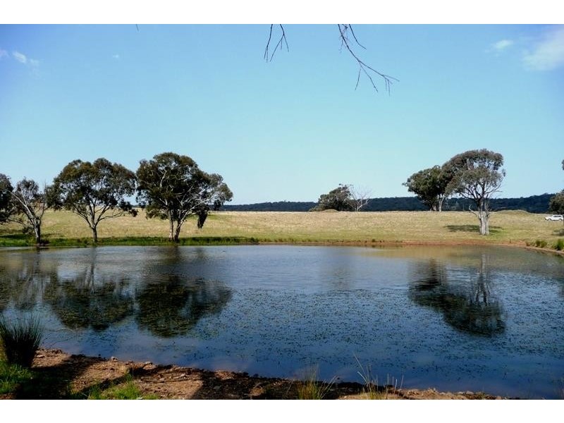 Molong NSW 2866