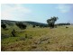 Molong NSW 2866