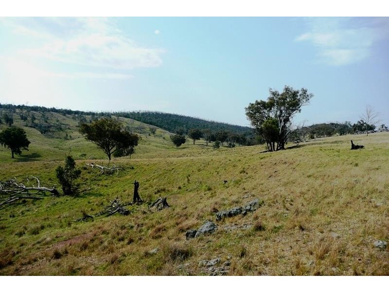 Molong NSW 2866