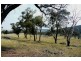 Molong NSW 2866