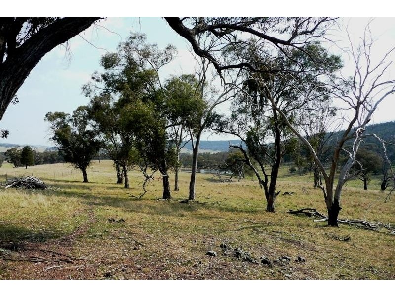 Molong NSW 2866