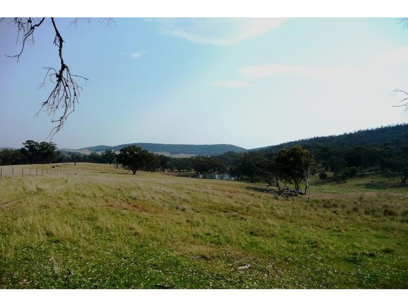Molong NSW 2866