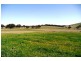 Blayney NSW 2799