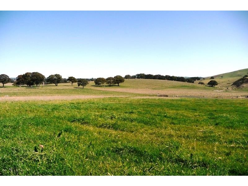 Blayney NSW 2799