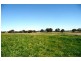 Blayney NSW 2799