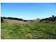 Blayney NSW 2799
