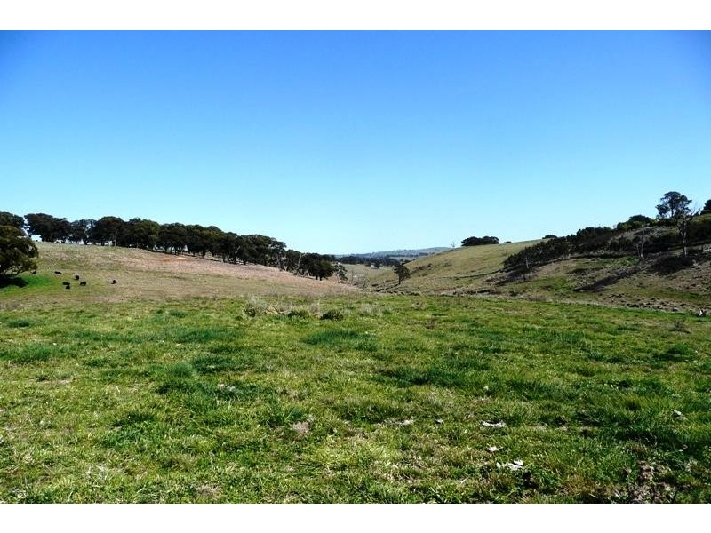 Blayney NSW 2799