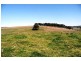 Blayney NSW 2799