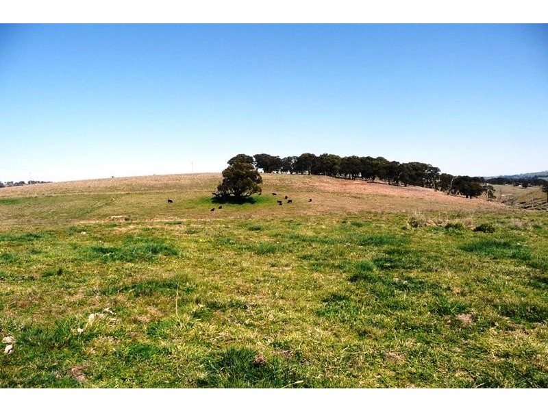 Blayney NSW 2799