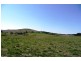 Blayney NSW 2799