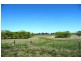 Blayney NSW 2799