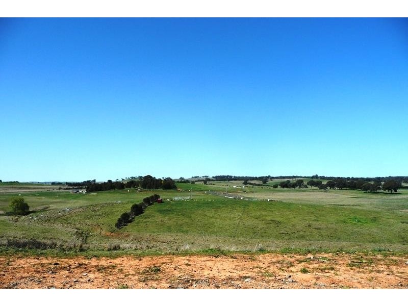 Blayney NSW 2799