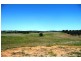 Blayney NSW 2799