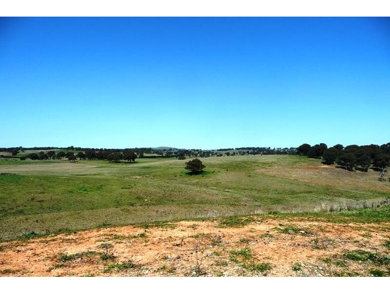 Blayney NSW 2799
