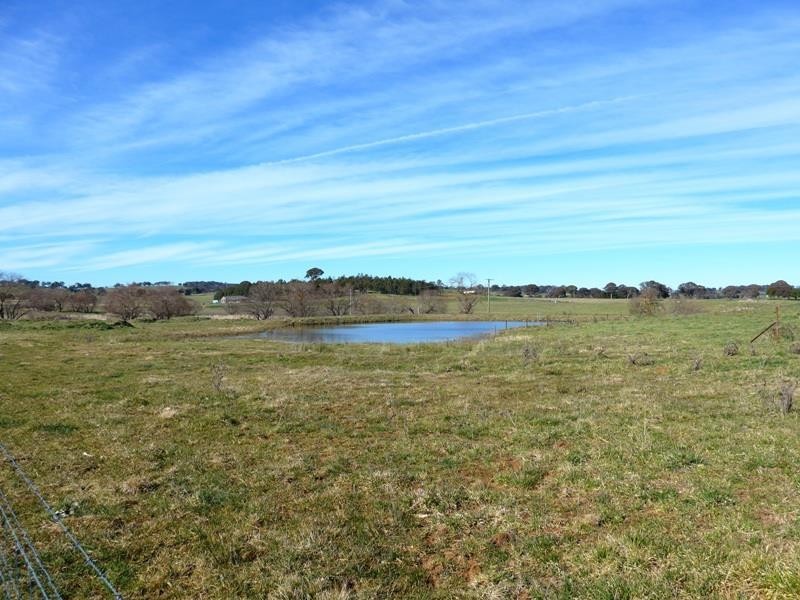 Blayney NSW 2799