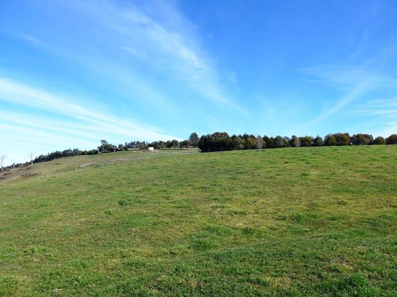 Blayney NSW 2799