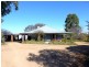 Molong NSW 2866