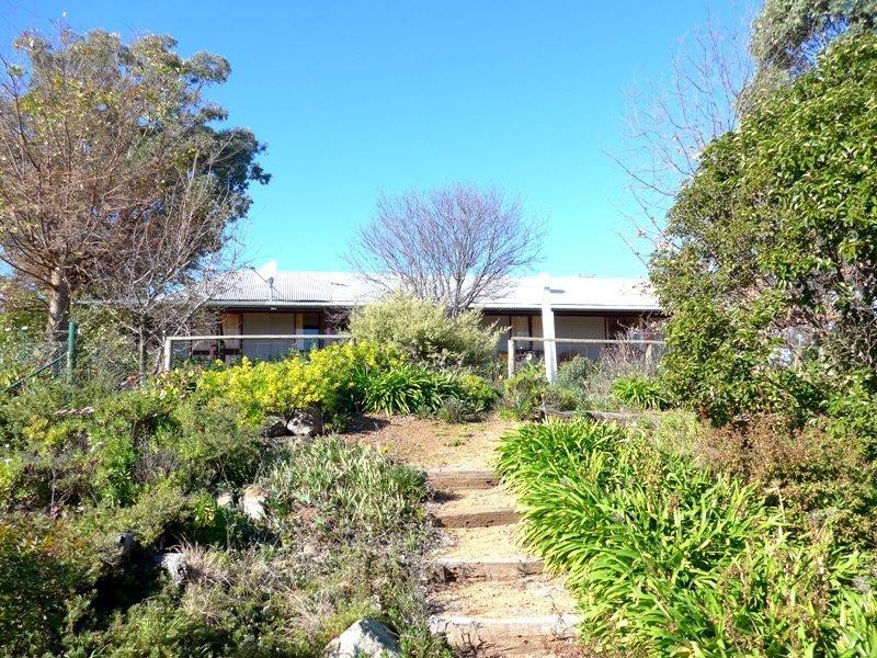 Molong NSW 2866