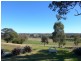 Molong NSW 2866