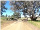 Molong NSW 2866