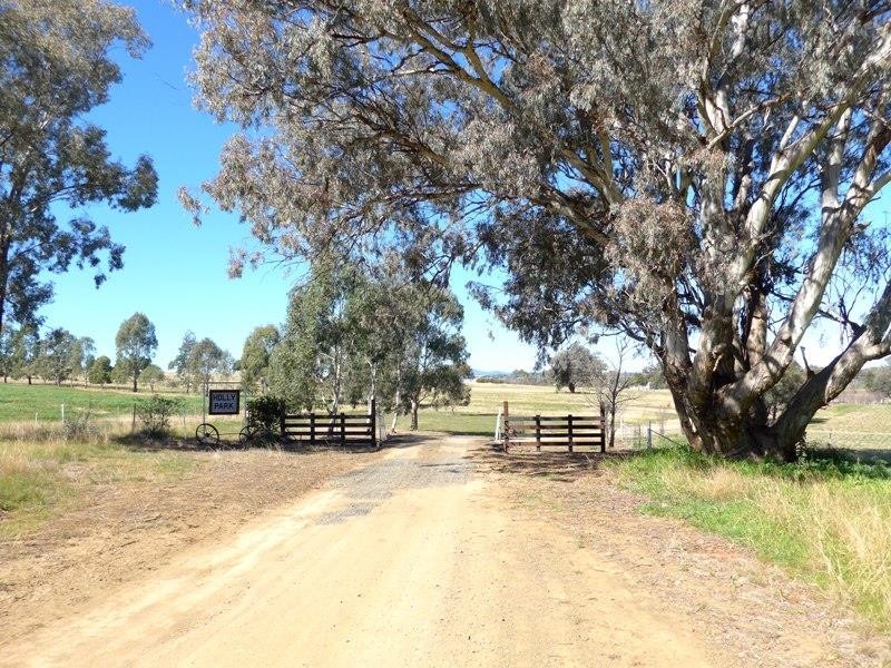 Molong NSW 2866