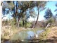 Molong NSW 2866