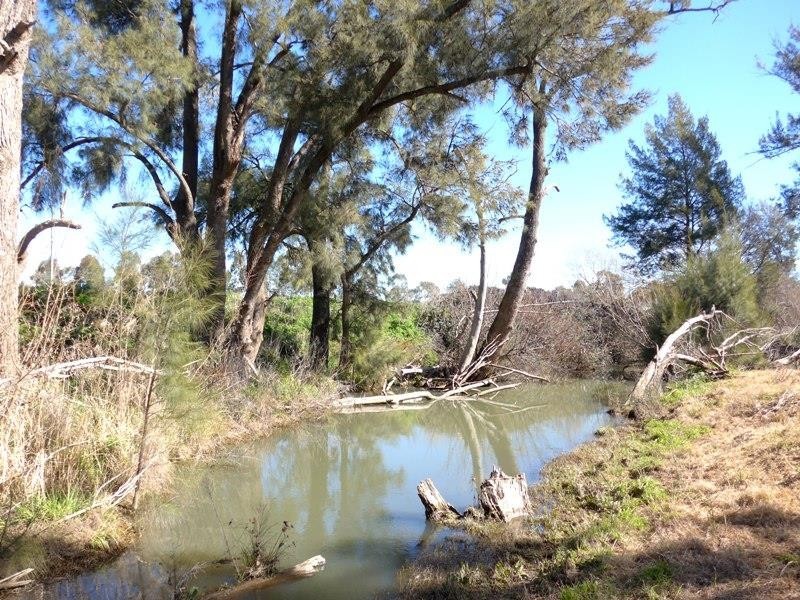 Molong NSW 2866