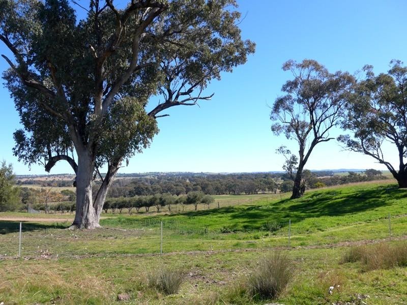 Molong NSW 2866