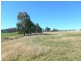 Molong NSW 2866