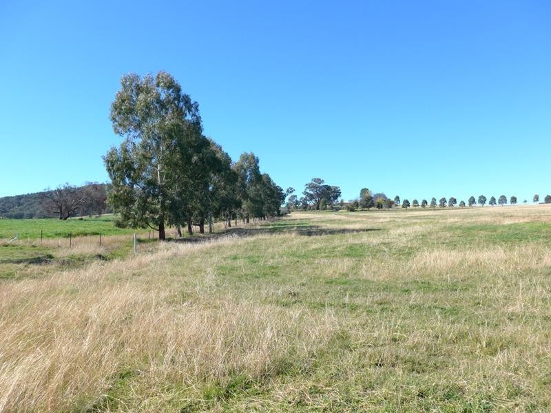 Molong NSW 2866
