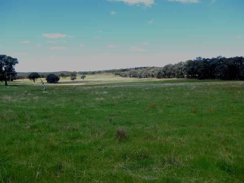 Manildra NSW 2865
