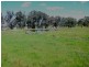 Manildra NSW 2865